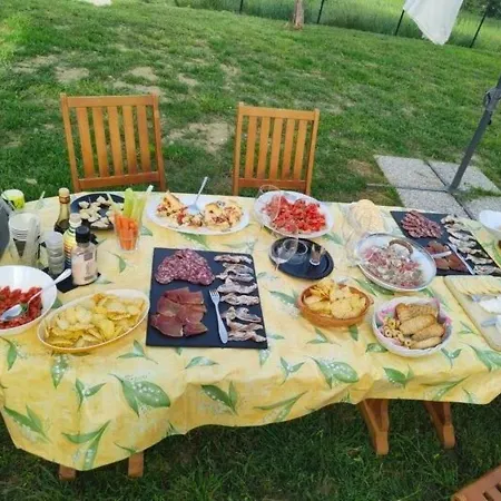 In Vino Veritas Arcevia